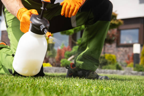  Lindsborg, KS Pest Control Pros
