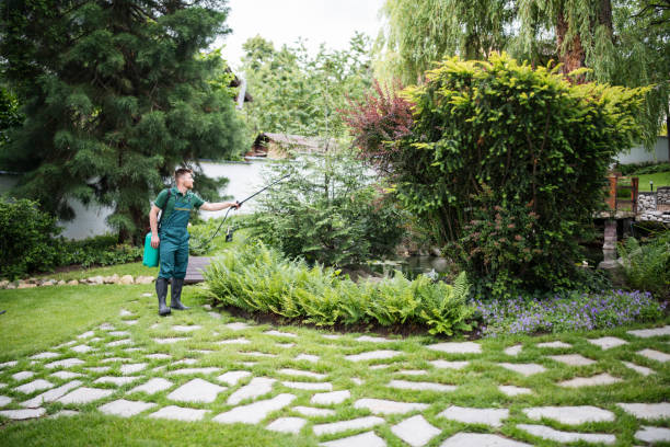 Best Ant Control Services  in Lindsborg, KS