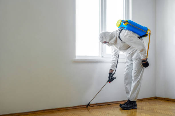 Best Bed Bug Extermination  in Lindsborg, KS
