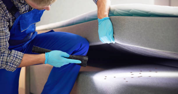 Best Termite Control Services  in Lindsborg, KS
