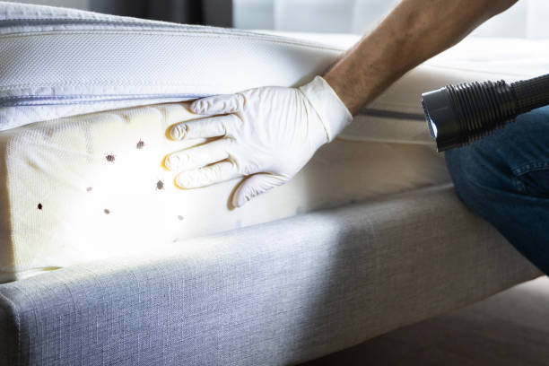 Best Exterminator Services  in Lindsborg, KS