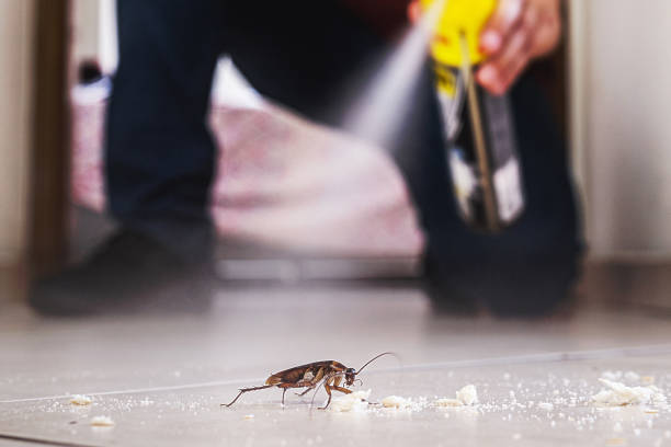 Trusted Lindsborg, KS Pest Control Experts