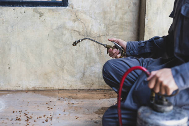 Best Best Pest Control Companies  in Lindsborg, KS
