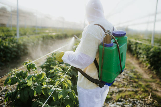 Best Bed Bug Extermination  in Lindsborg, KS